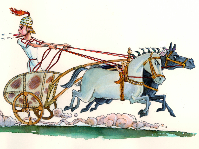 Immagine 5 del portfolio di Blasco Pisapia