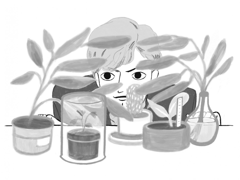 Immagine 3 del portfolio di Marcella Onzo