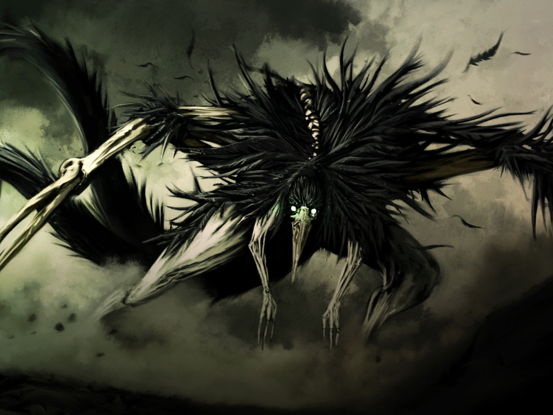 Immagine 3 del portfolio di Federico Ferrarese