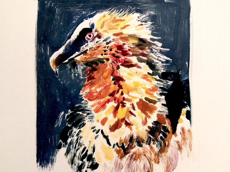 Immagine 6 del portfolio di Mattia Sanseverino