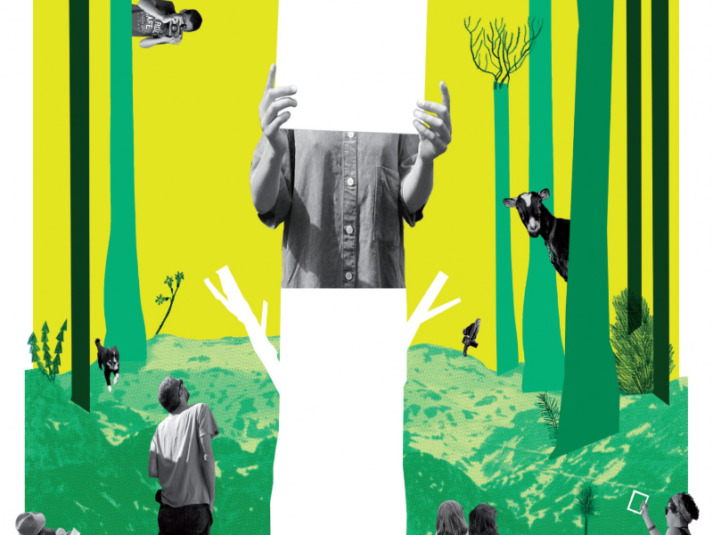 Immagine 1 del portfolio di Sara Donati