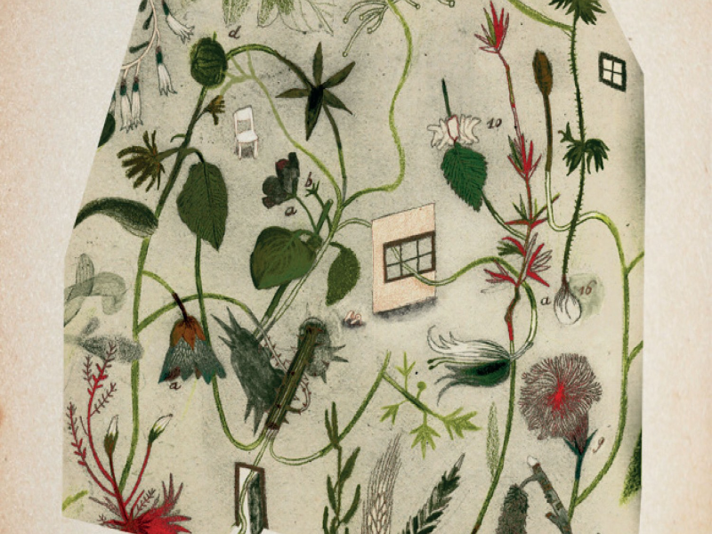 Immagine 2 del portfolio di Sara Donati