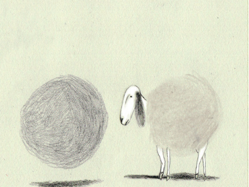 Immagine 3 del portfolio di Sara Donati