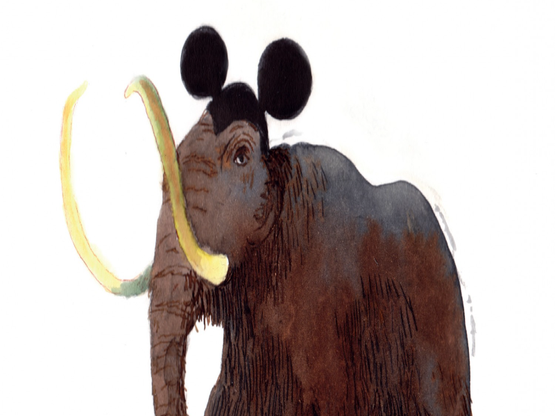 Immagine 4 del portfolio di Sara Donati