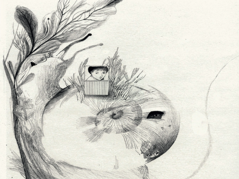 Immagine 8 del portfolio di Sara Donati