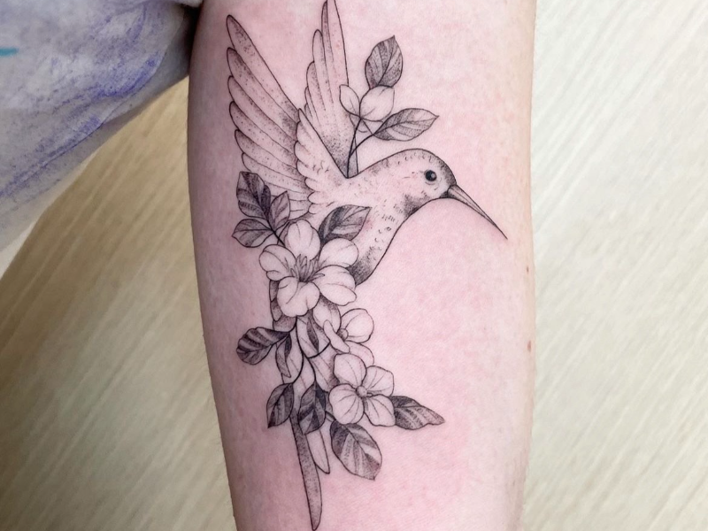 Immagine 3 del portfolio di Alessandra Bonetta