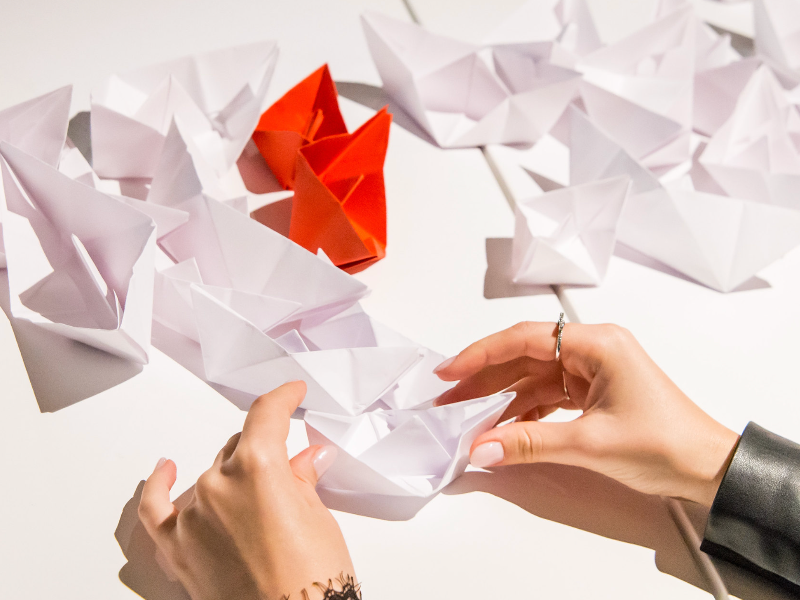 Immagine 4 del portfolio di Anna Piratti