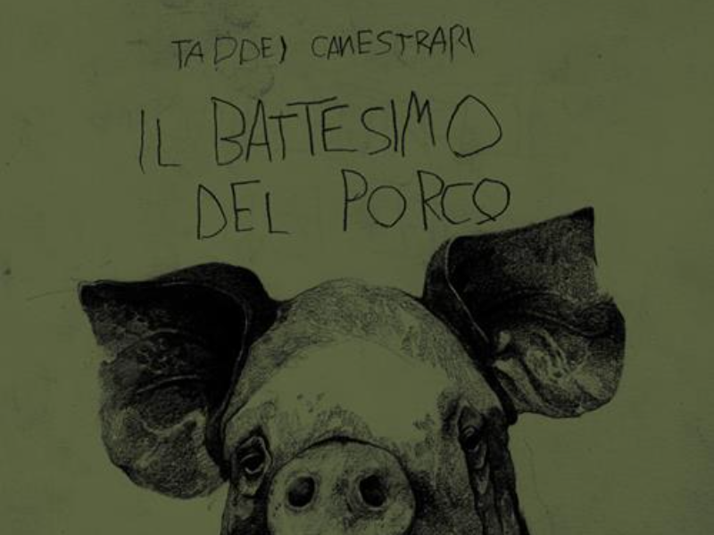 Immagine 5 del portfolio di Marco Taddei