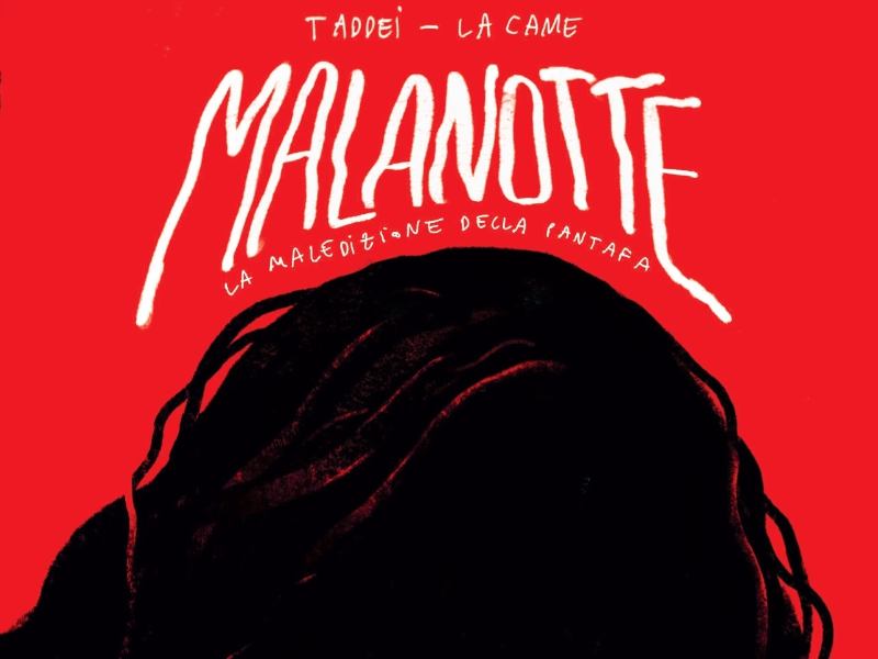 Immagine 6 del portfolio di Marco Taddei