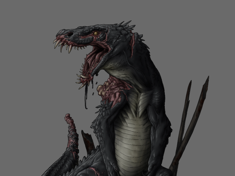 Immagine 4 del portfolio di Tommaso Lucchetti