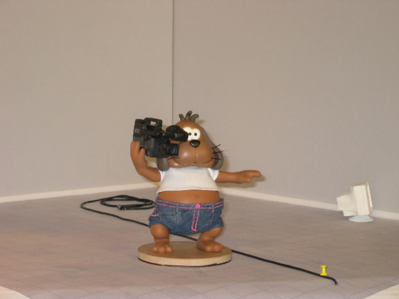 Immagine 3 del portfolio di Francesca Ferrario