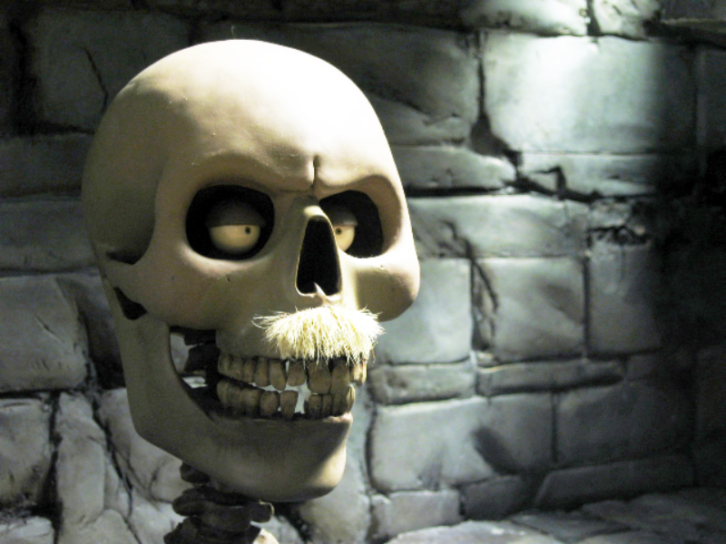 Immagine 4 del portfolio di Francesca Ferrario