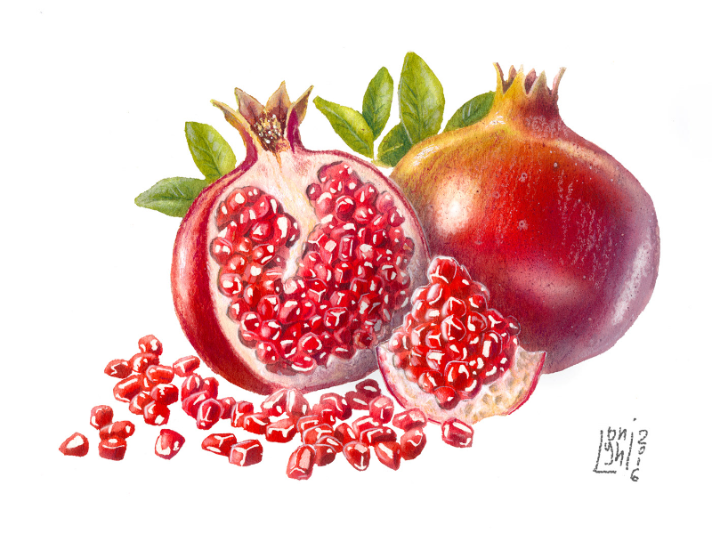 Immagine 1 del portfolio di Andrea Longhi