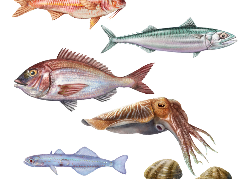 Immagine 2 del portfolio di Andrea Longhi