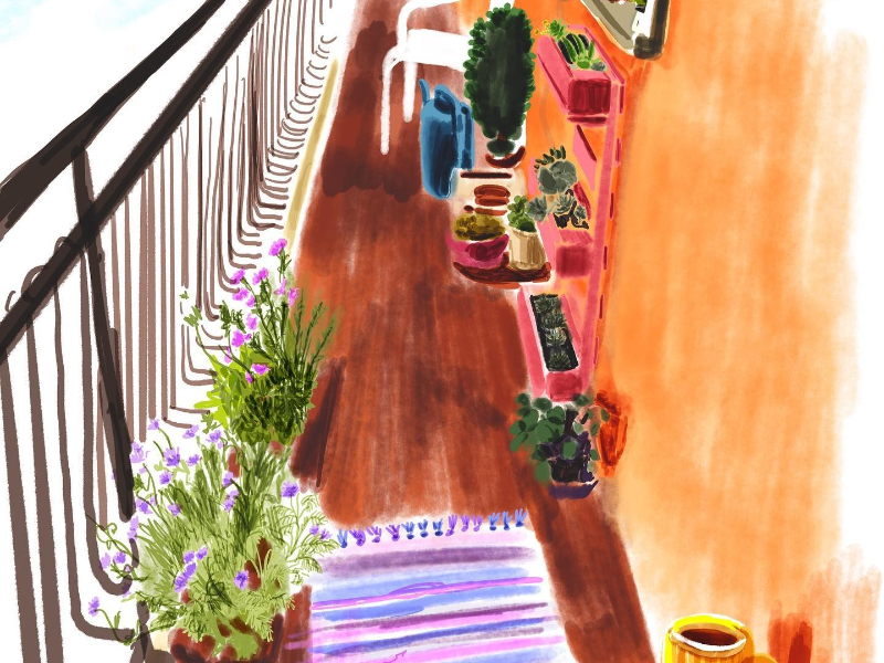 Immagine 4 del portfolio di Chiara  Abastanotti 