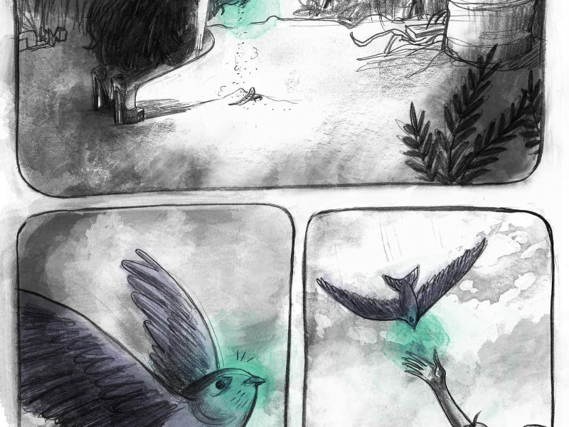 Immagine 5 del portfolio di Chiara  Abastanotti 