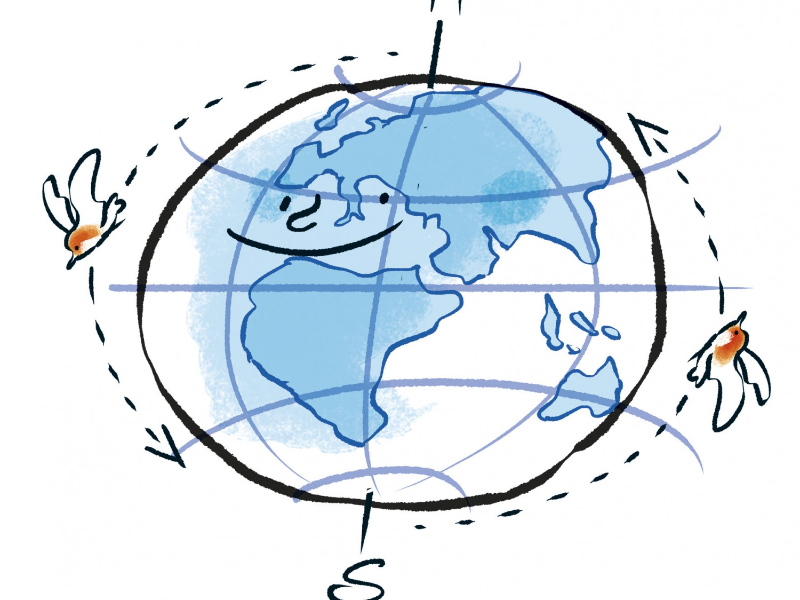 Immagine 3 del portfolio di Marco Bolla