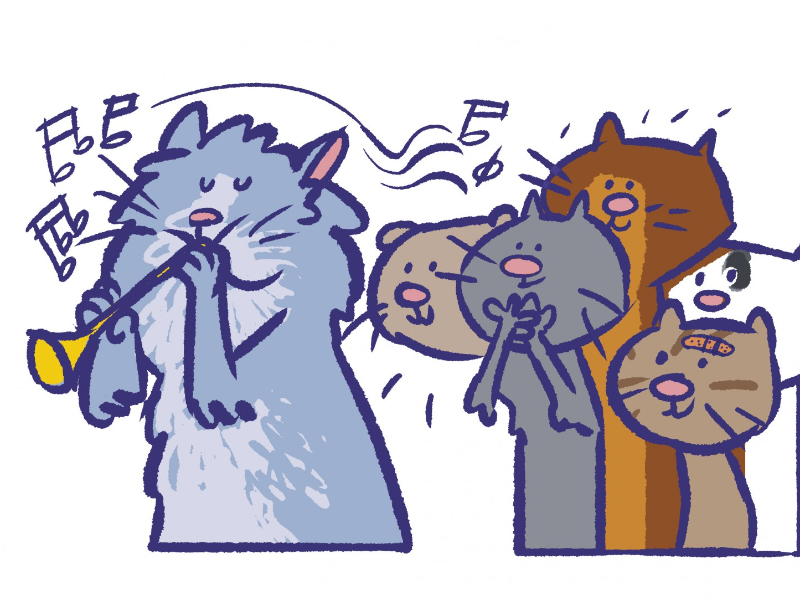 Immagine 7 del portfolio di Marco Bolla