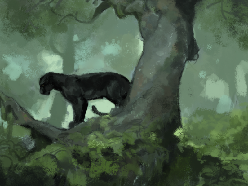 Immagine 2 del portfolio di Marco Matrone