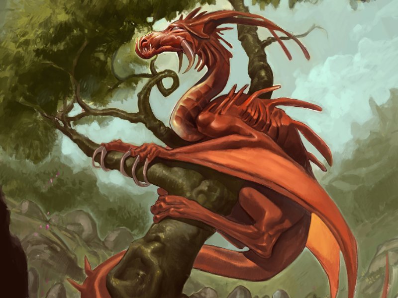 Immagine 3 del portfolio di Marco Matrone