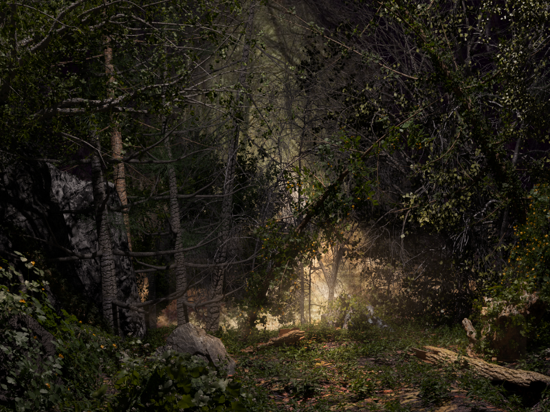 Immagine 2 del portfolio di Andrea Carbone