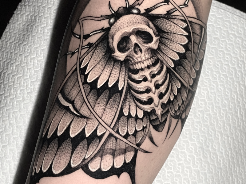 Immagine 2 del portfolio di Giuseppe Russo