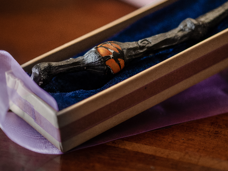 Immagine 3 del portfolio di Nicola Spinelli