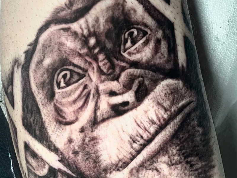 Immagine 2 del portfolio di Maria Orlando