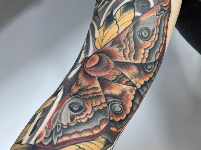 Immagine 2 del portfolio di Amankay Delpino Andrade