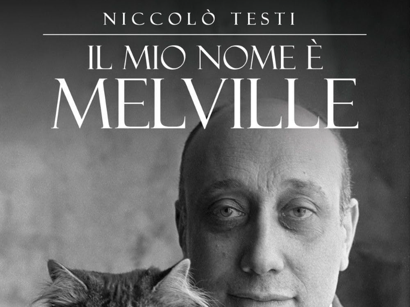 Immagine 5 del portfolio di Niccolò Testi