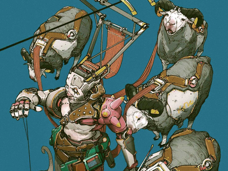 Immagine 6 del portfolio di Tano  Bonfanti 