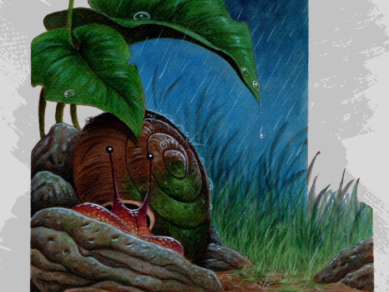 Immagine 3 del portfolio di Andrea Pulcini