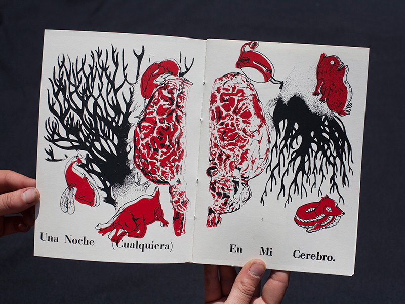 Immagine 1 del portfolio di Marcella  Mangano