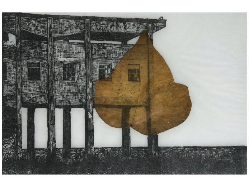 Immagine 2 del portfolio di Marcella  Mangano