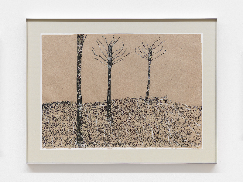 Immagine 4 del portfolio di Dario Guccio