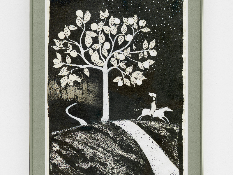 Immagine 8 del portfolio di Dario Guccio