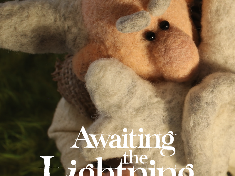 Immagine 1 del portfolio di Marco Russo