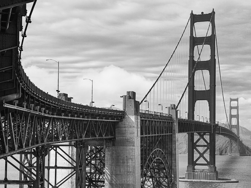 Immagine 4 del portfolio di Paolo Tangari