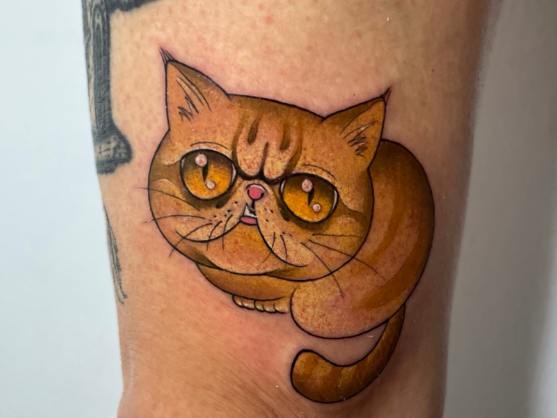 Immagine 1 del portfolio di Giada Zambrelli