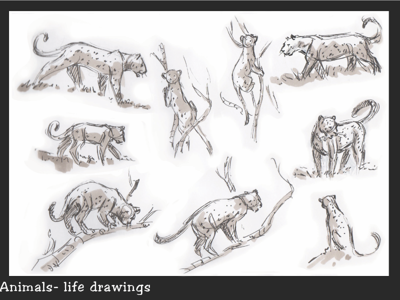 Immagine 4 del portfolio di Andrea  Greppi 