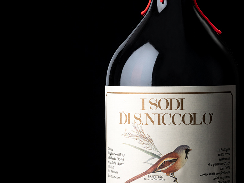 Immagine 2 del portfolio di Paola Zucchi