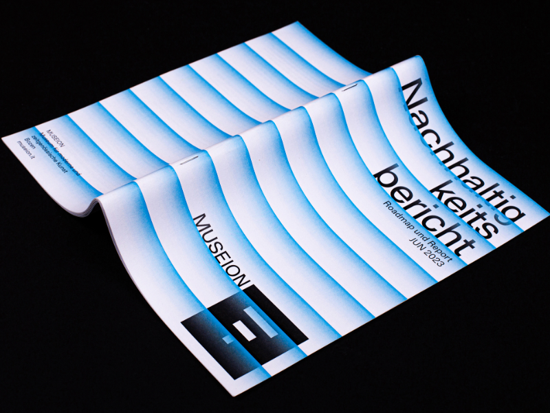 Immagine 4 del portfolio di Matteo Campostrini