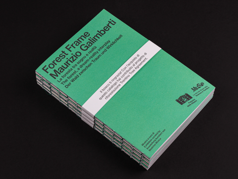 Immagine 5 del portfolio di Matteo Campostrini