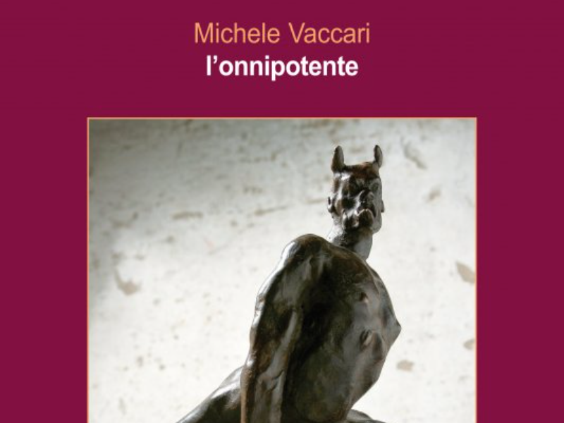 Immagine 4 del portfolio di Michele Vaccari