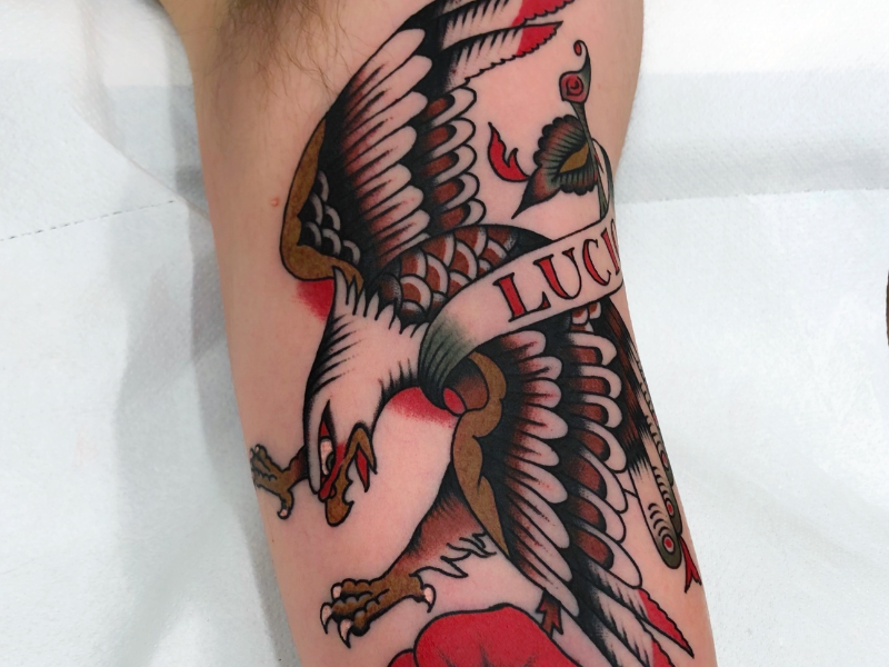 Immagine 1 del portfolio di Marcello Siragusa