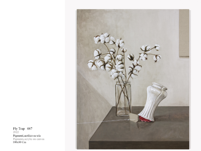 Immagine 2 del portfolio di Luciano Sozio