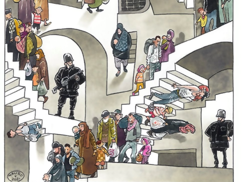 Immagine 4 del portfolio di Mauro Talarico