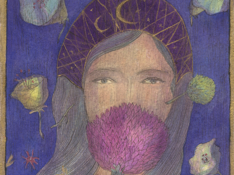 Immagine 2 del portfolio di Emanuela Orciari