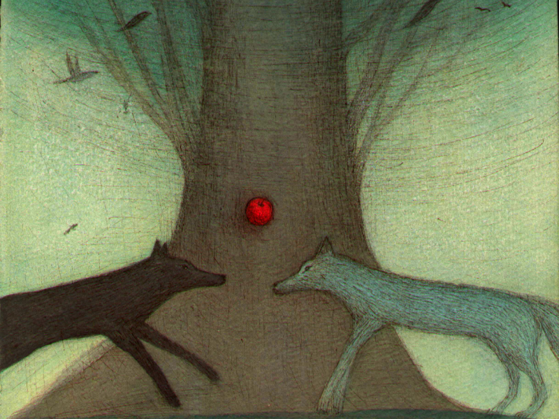 Immagine 3 del portfolio di Emanuela Orciari