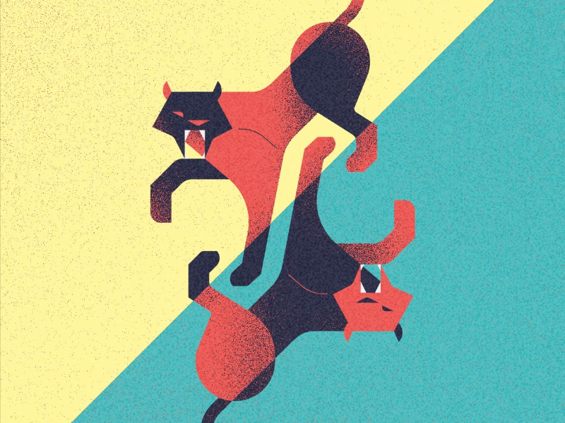 Immagine 2 del portfolio di Alessandro Vairo